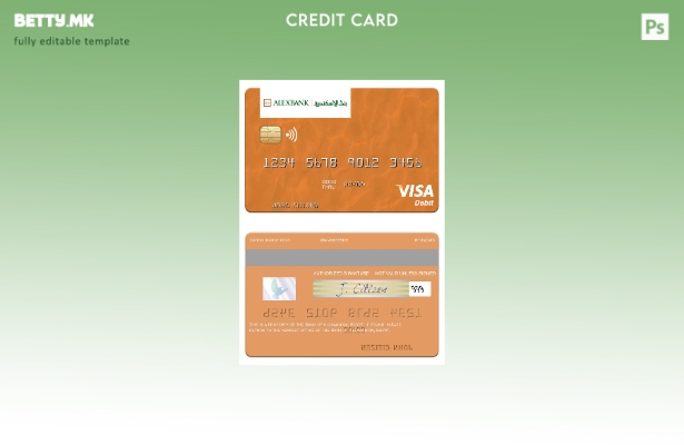 Модерен стил Шаблон за виза за дебитна картичка Египетска банка на Александрија